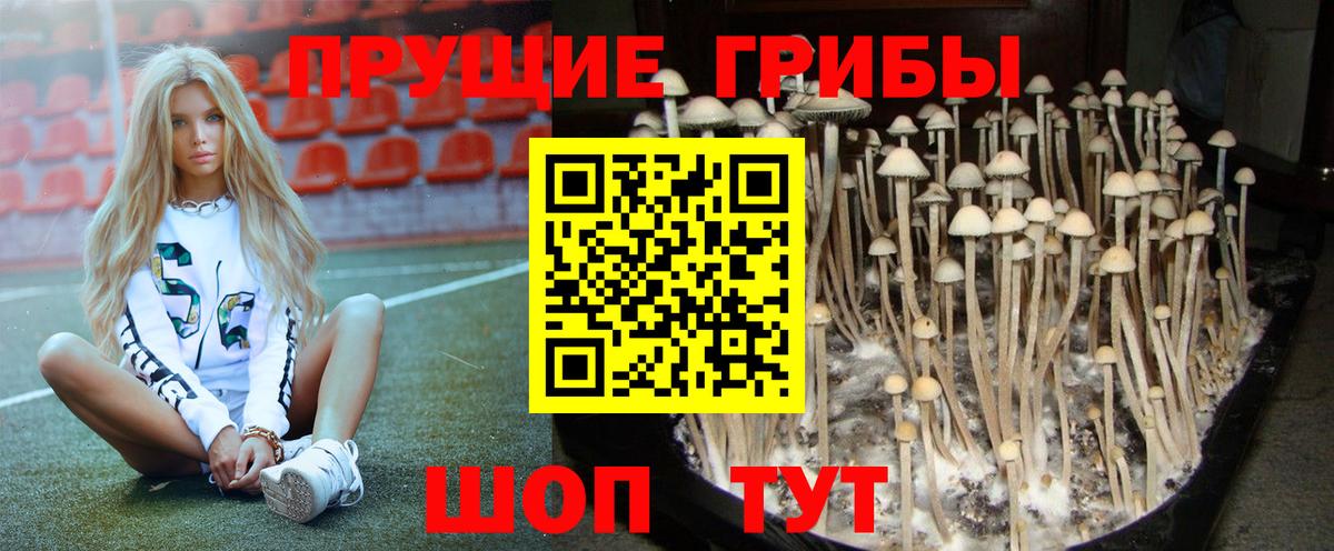 Кемерово  Псилоцибиновые грибы ЛСД  Вход с VPN 